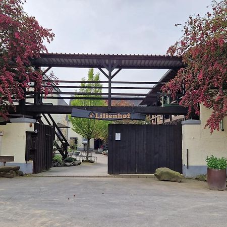 Moderne Ferienwohnung Black Beauty Auf Idyllischem Reiterhof Naehe Burg Eltz Munstermaifeld Exterior photo